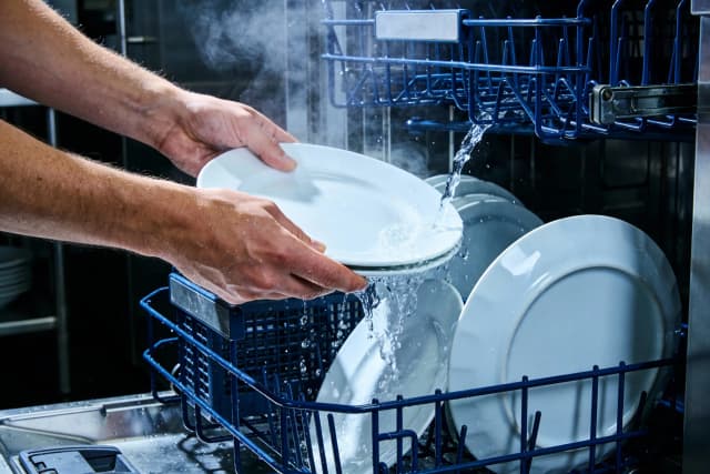 Plongeur / Plongeuse (f/h/d) - 50% - Genève | Coop